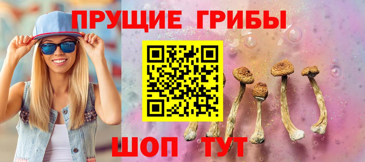 Галлюциногенные грибы прущие грибы  Вход с VPN  Мариинск 