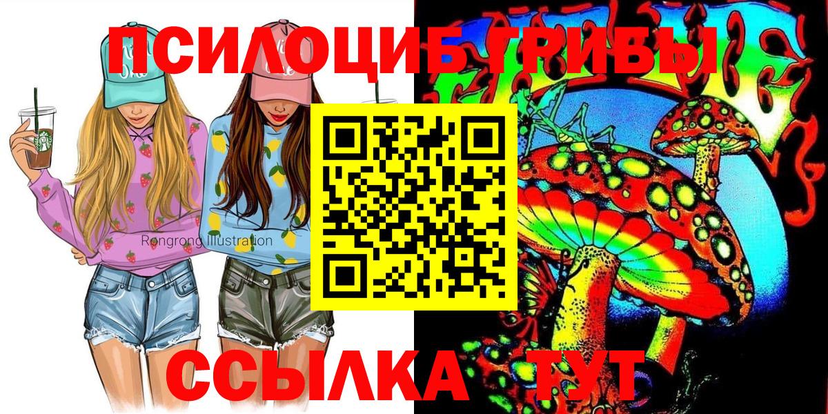 Псилоцибиновые грибы Psilocybe Мариинск